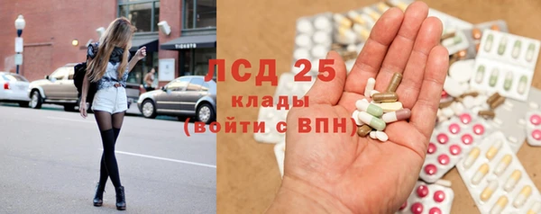 ПСИЛОЦИБИНОВЫЕ ГРИБЫ Лагань