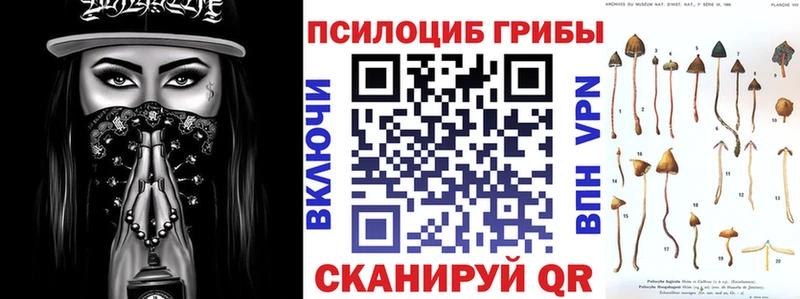 Псилоцибиновые грибы Psilocybe Купить где Зима