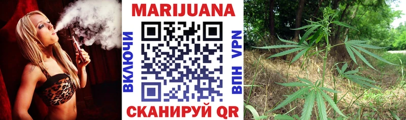 Купить  Зима  Конопля OG Kush 